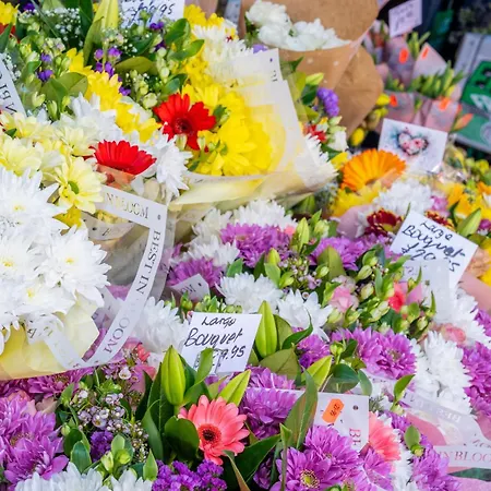 The Nook Lägenhet *