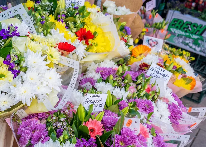 The Nook Appartamento *